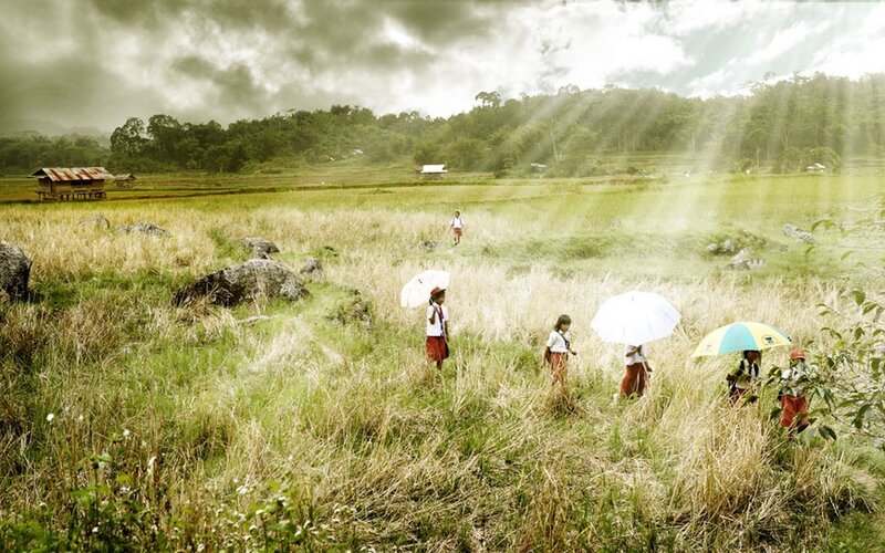 Children walking through a field