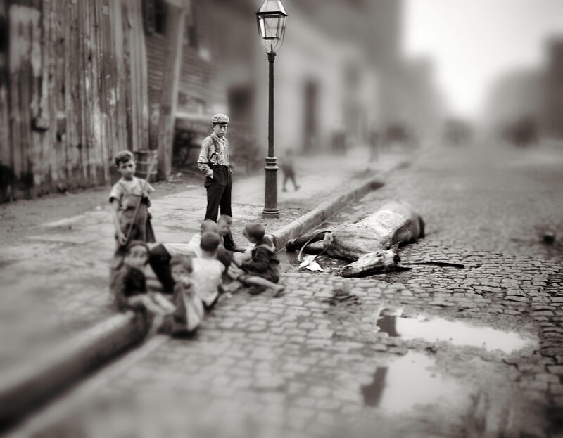 Children with a dead horse on the street