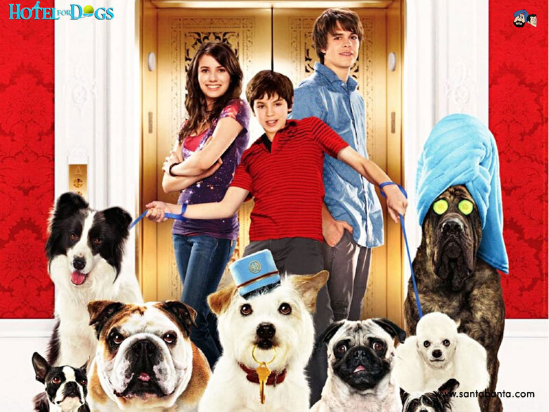 Children with Dogs in Lobby — Red