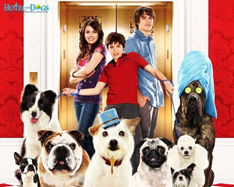 Children with Dogs in Lobby