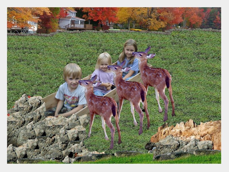 Children with fawns in a boat