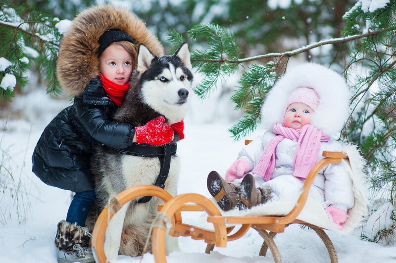 Children with Husky Dog