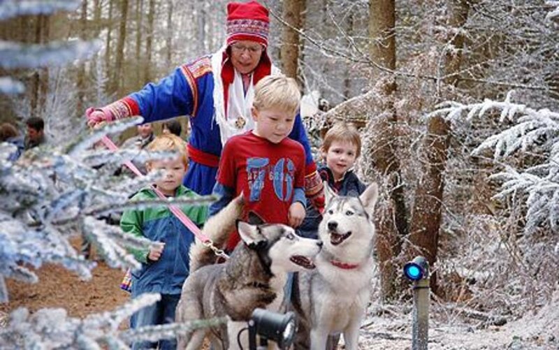 Children with Husky Dogs