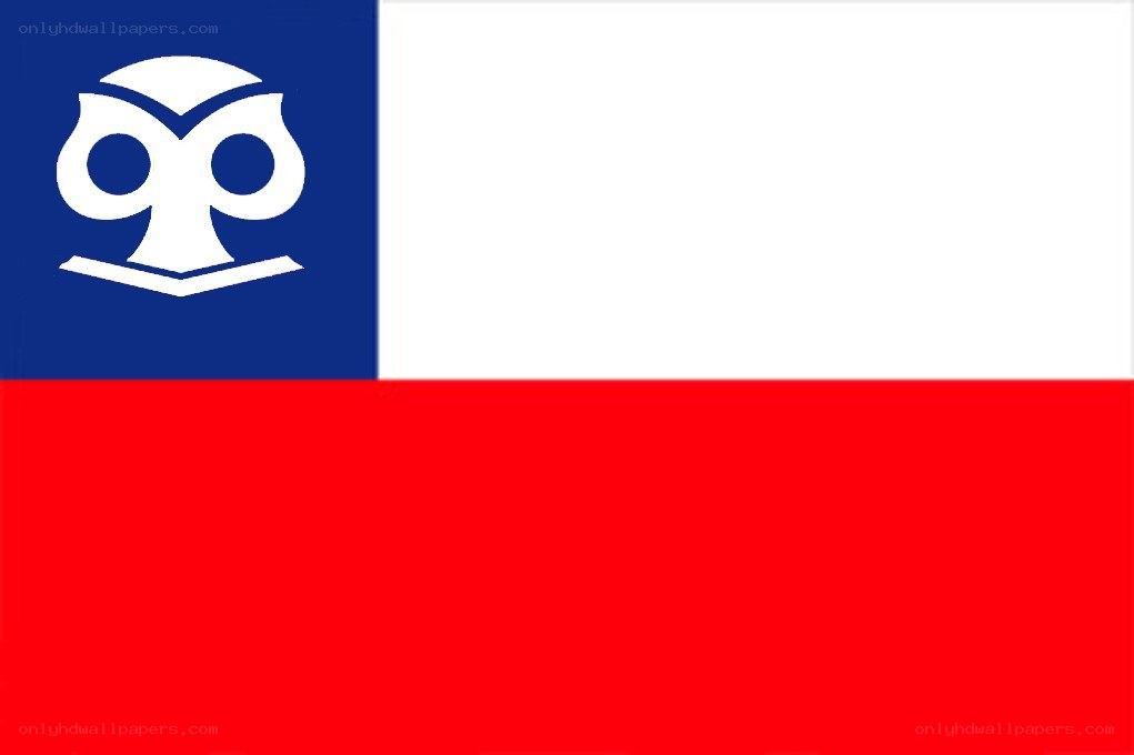 Chilean flag with owl emblem