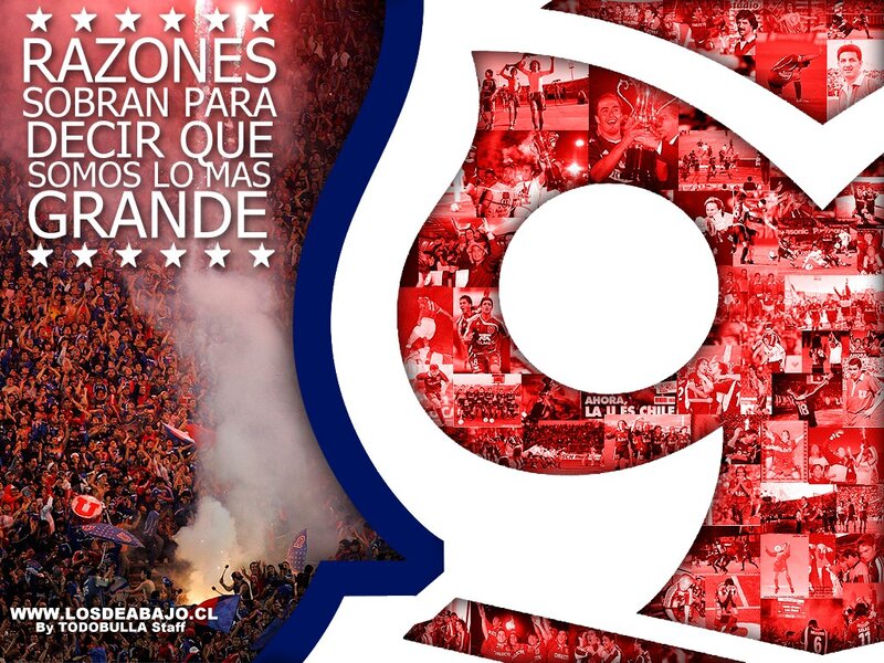 Chilean football fan collage