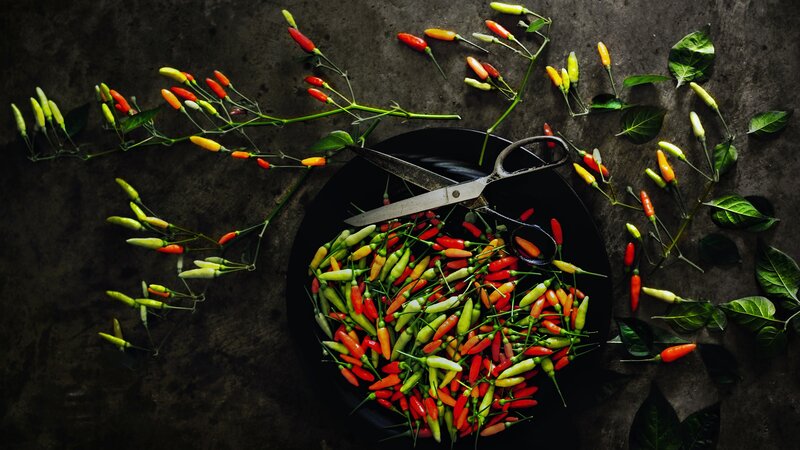 Chili Peppers on Plate