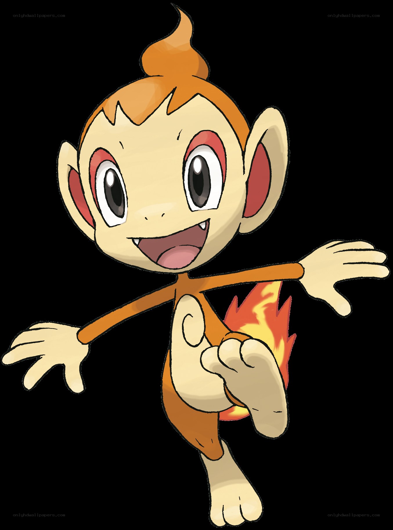 Chimchar from Pokémon