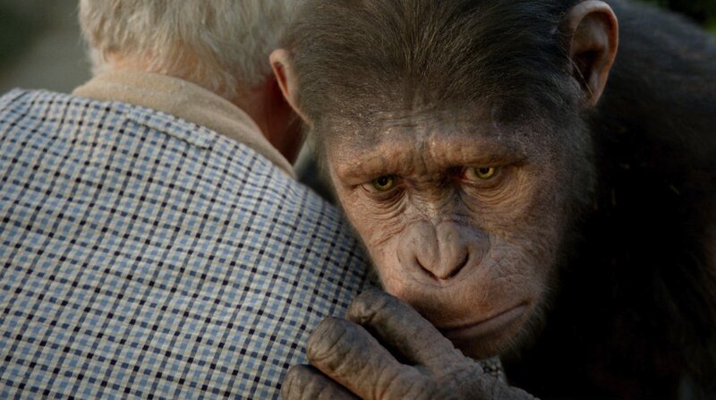 Chimp Hugging Man