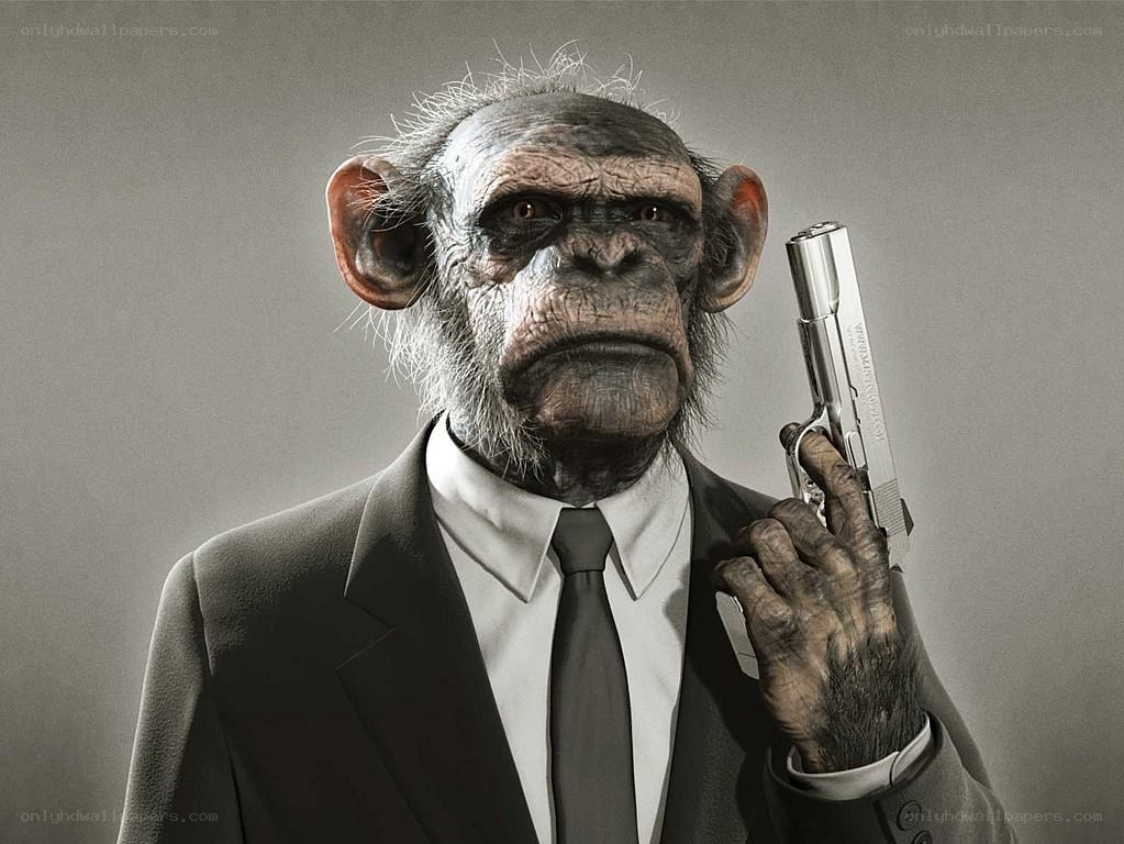 chimp in suit holding gun