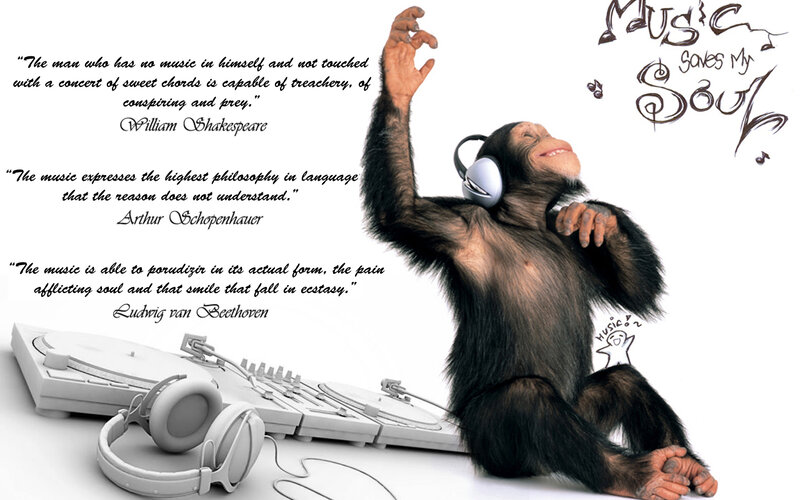 chimp listening to music