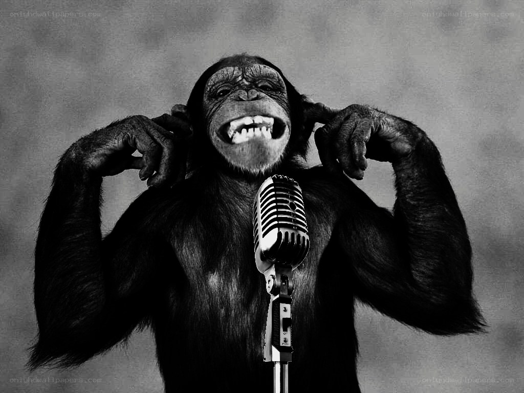 chimp singing into microphone