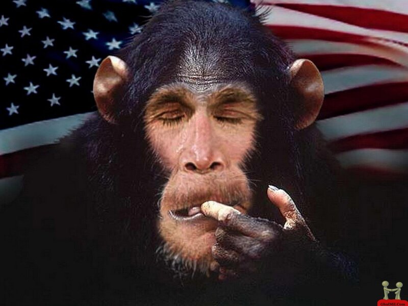 Chimp with Cigarette