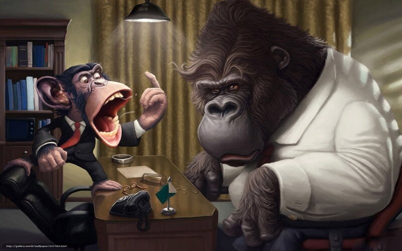 Chimpanzee and Gorilla in Office — Brown