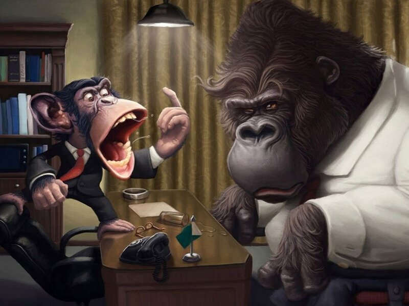 Chimpanzee and Gorilla in Office
