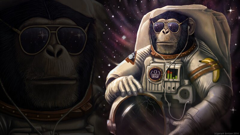 Chimpanzee Astronaut