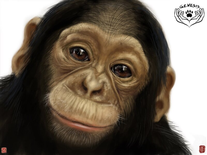 Chimpanzee Face — Black, Neutral, Digital Art