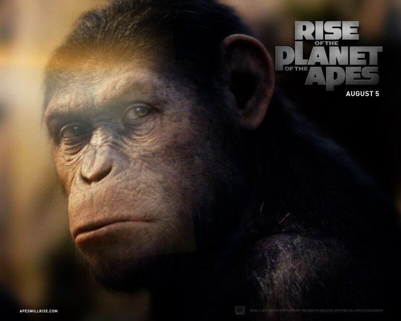 Chimpanzee Face — Black