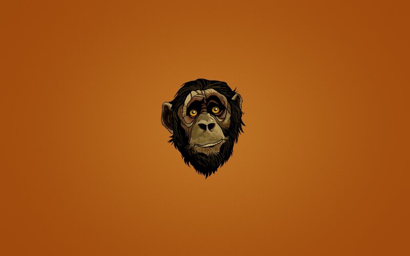 Chimpanzee Head — Orange