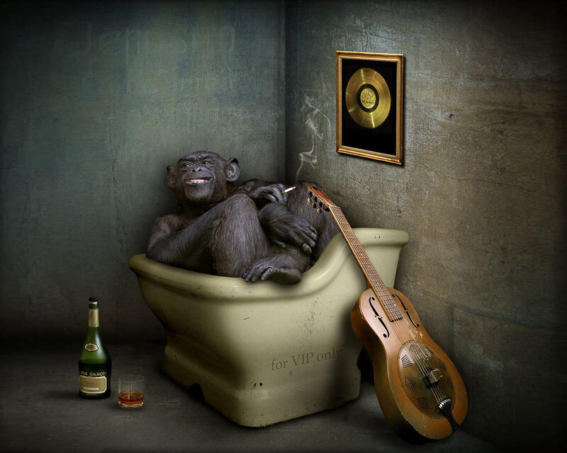 Chimpanzee in Bathtub — Gray