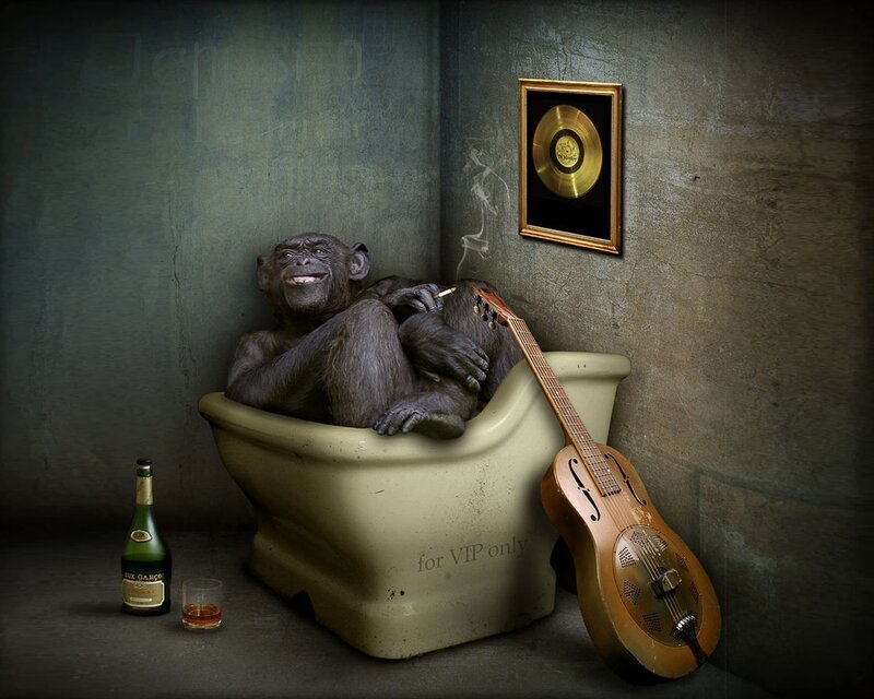 Chimpanzee in Bathtub