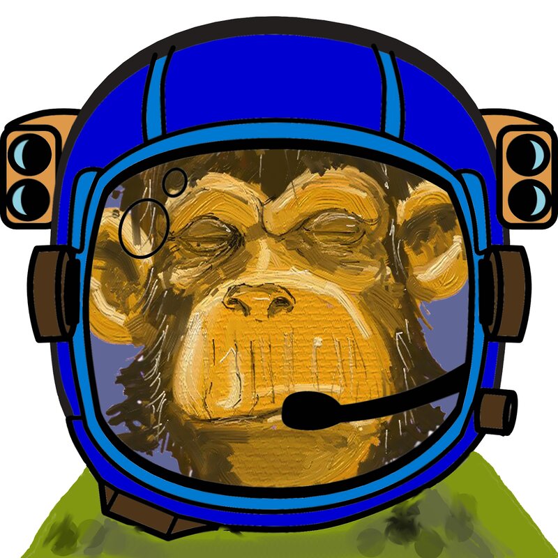 Chimpanzee in Helmet
