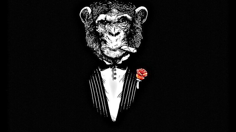 chimpanzee in tuxedo