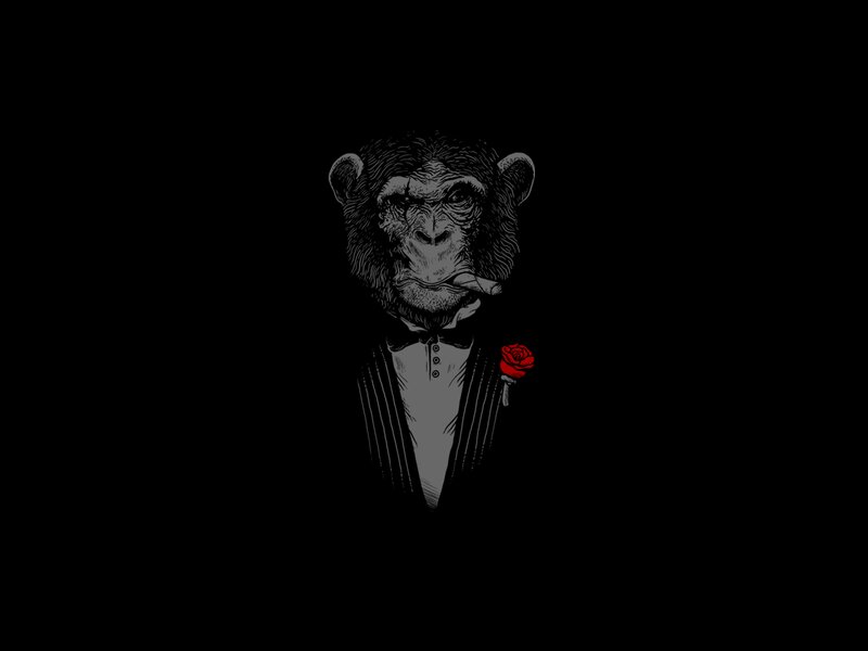 Chimpanzee in Tuxedo — Black