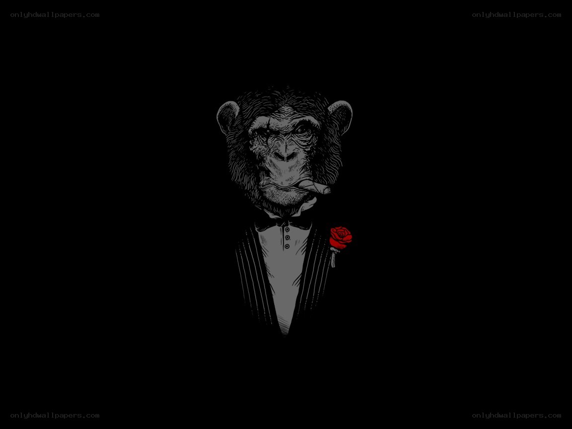chimpanzee in tuxedo