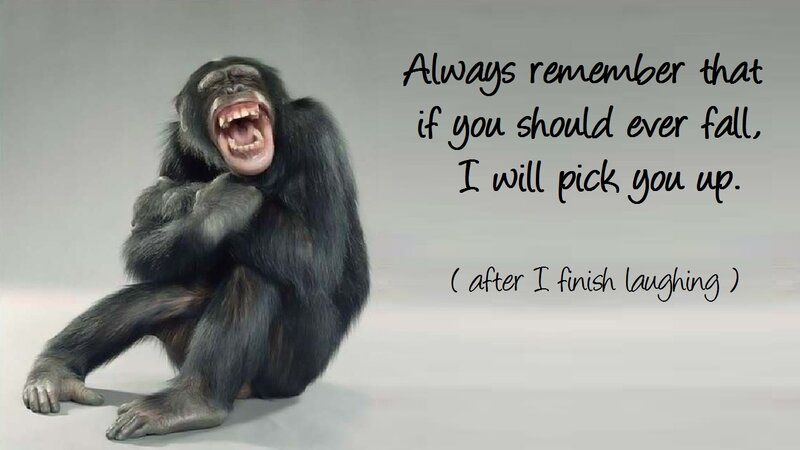 Chimpanzee Laughing