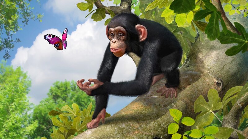 Chimpanzee on Tree Branch