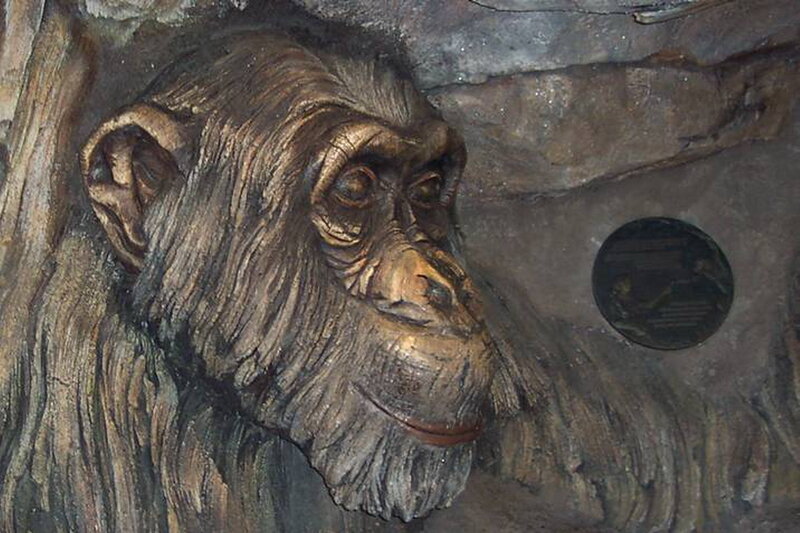 Chimpanzee Sculpture
