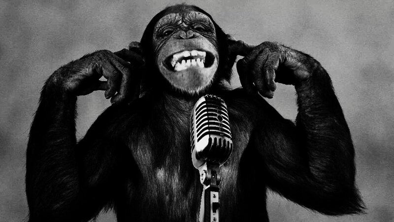 Chimpanzee Singing