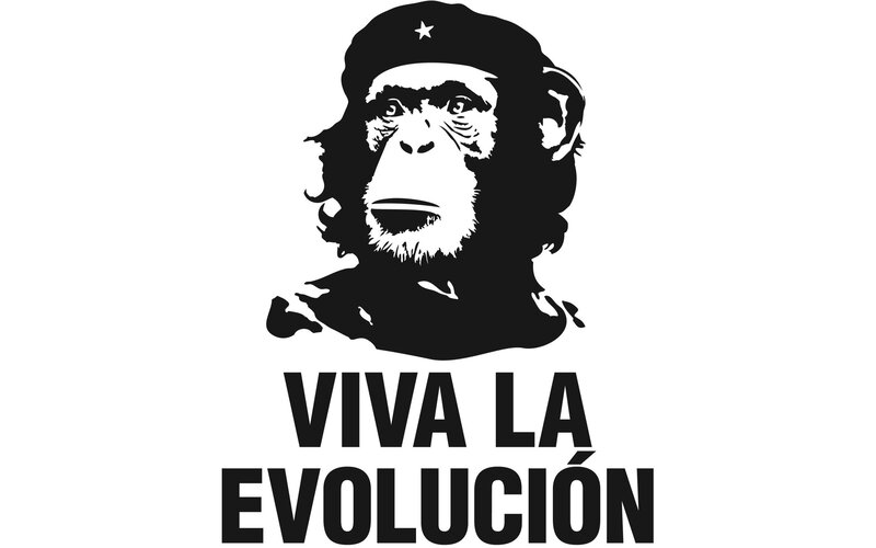Chimpanzee Wearing Beret — Black