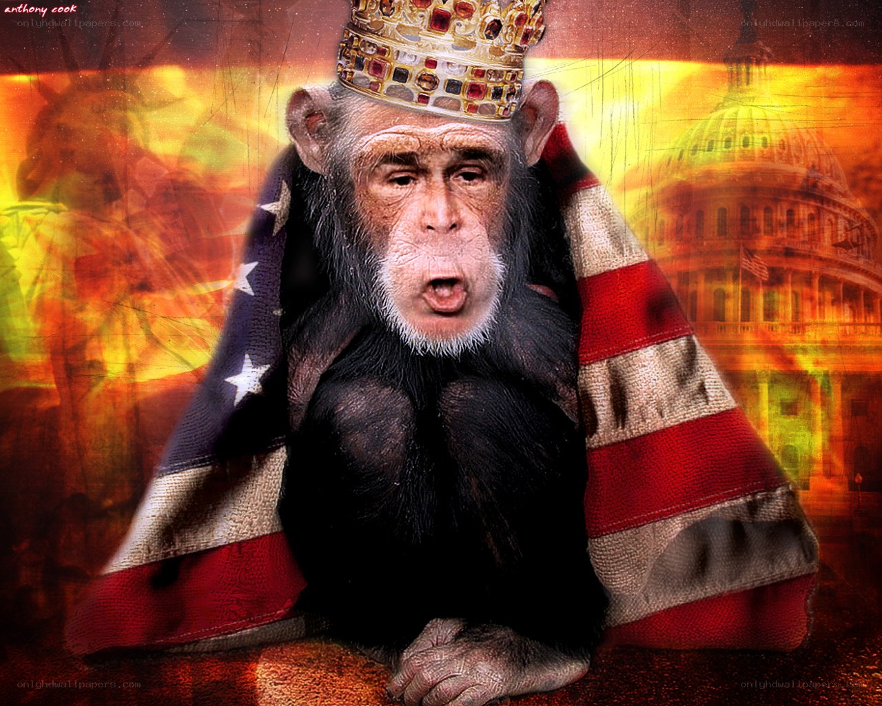 chimpanzee with crown and flag