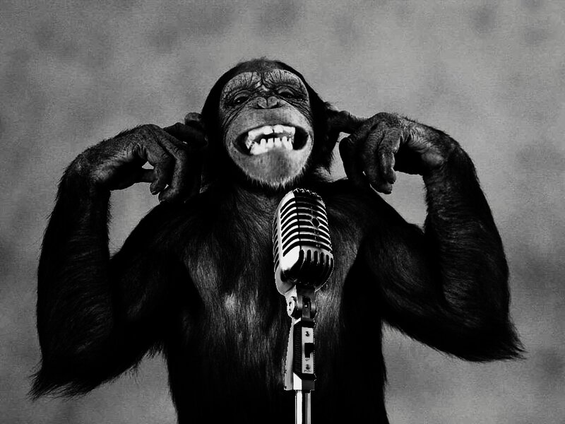 Chimpanzee with Microphone