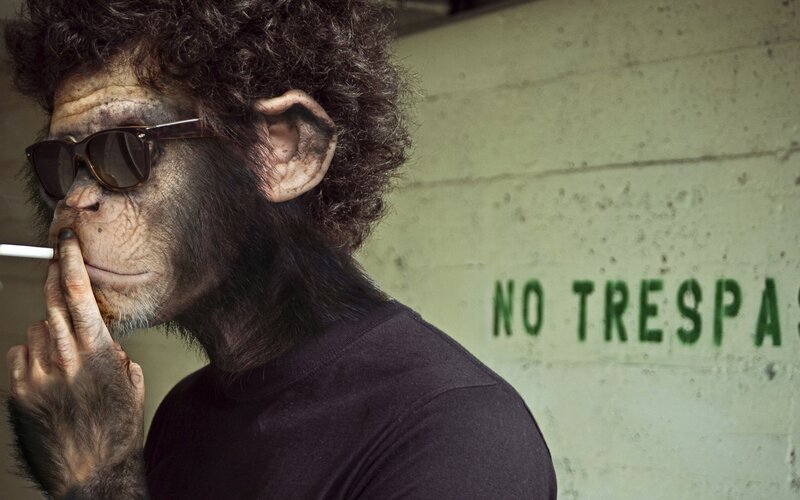chimpanzee with sunglasses and cigarette