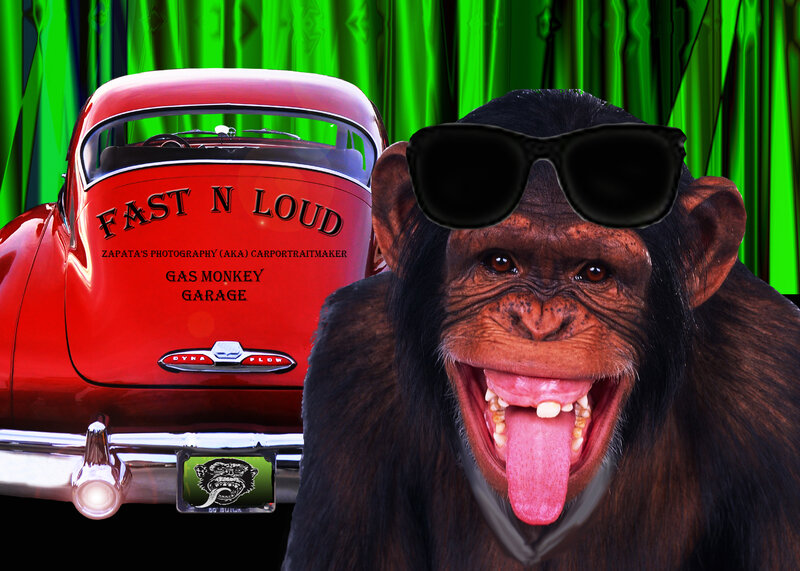 Chimpanzee with Sunglasses — Red