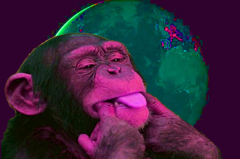 Chimpanzee with Tongue Out — Purple