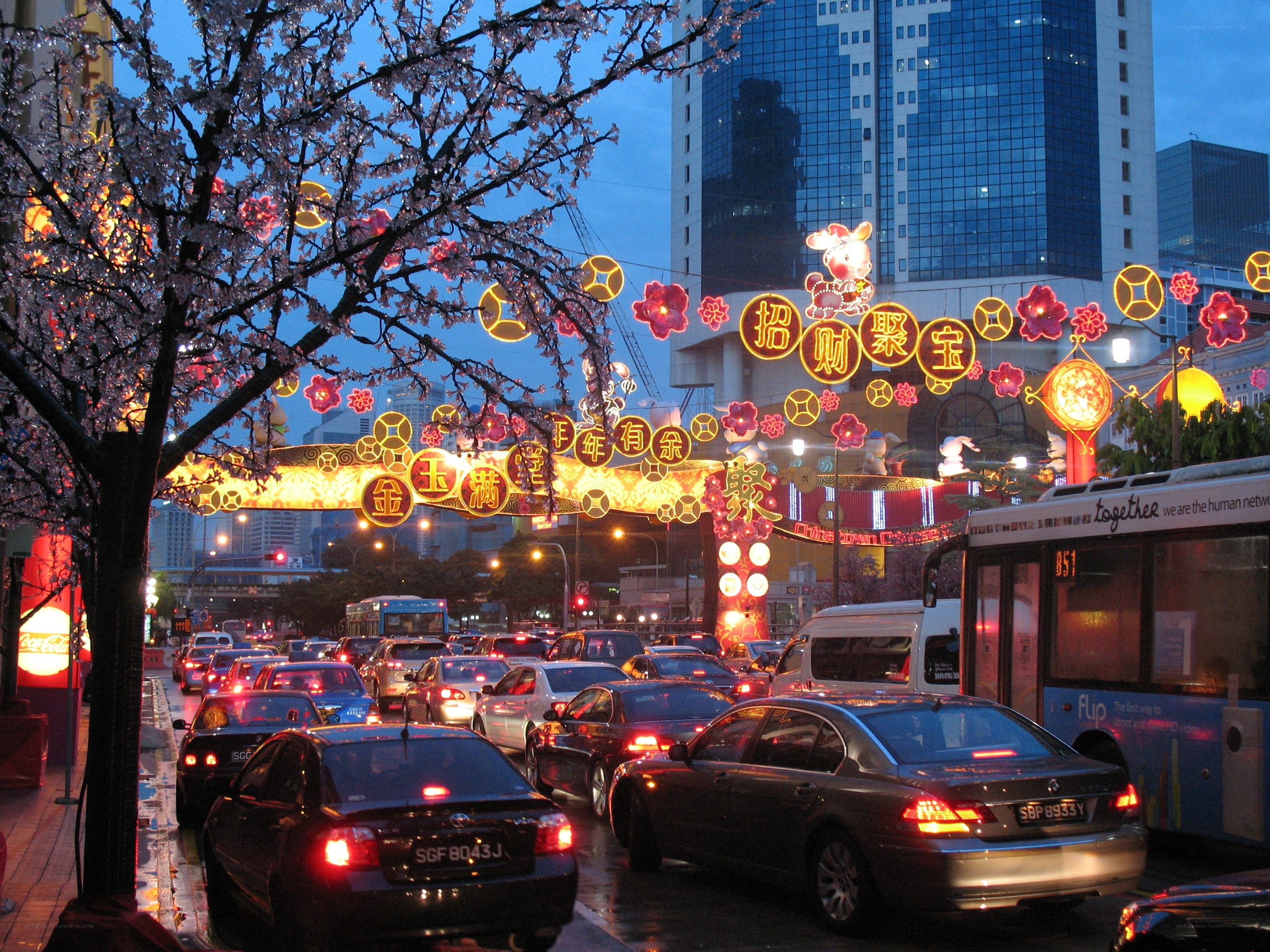 Chinatown festive lights at dusk