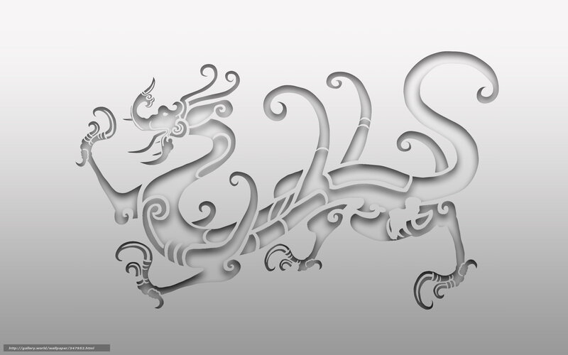 Chinese dragon design