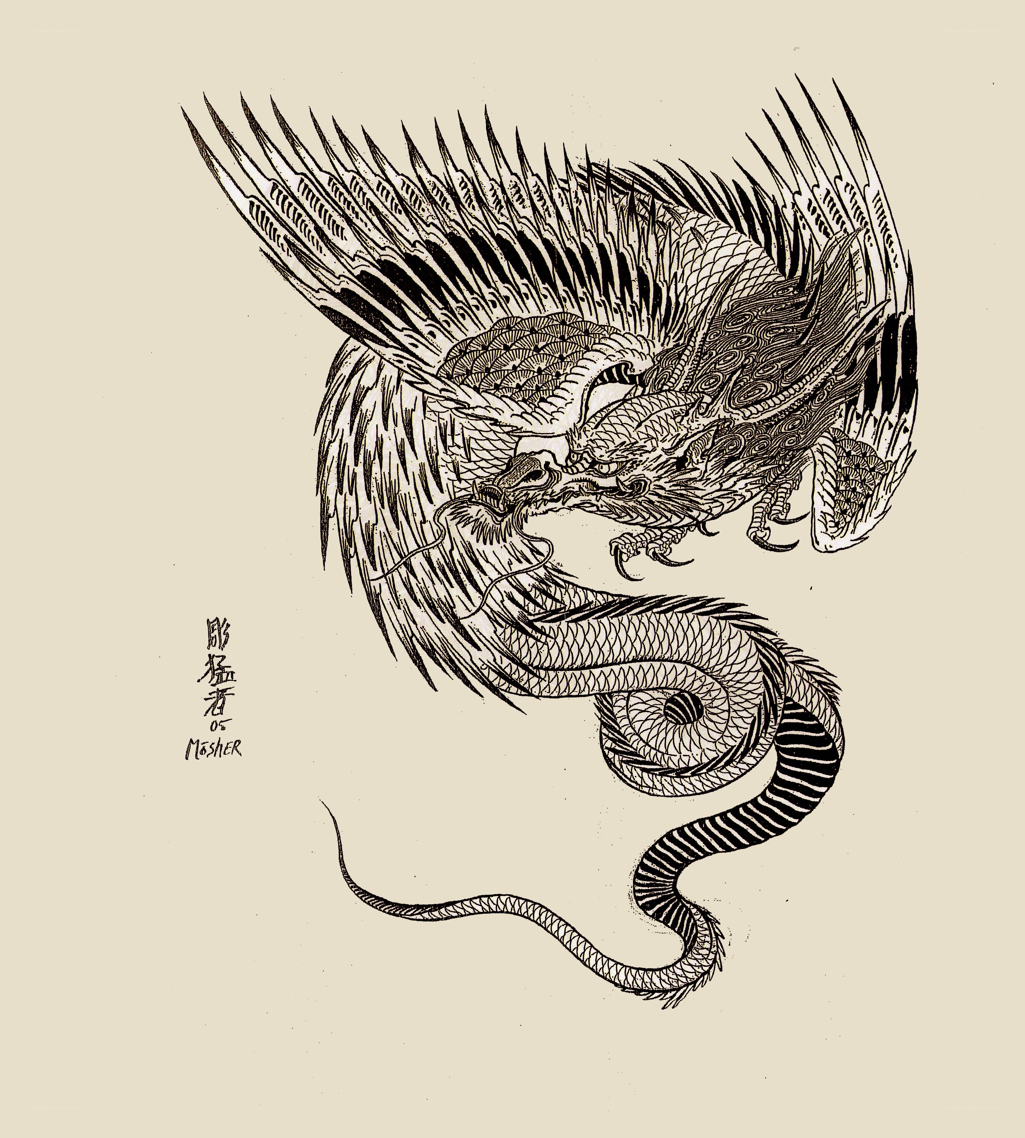 Chinese dragon illustration