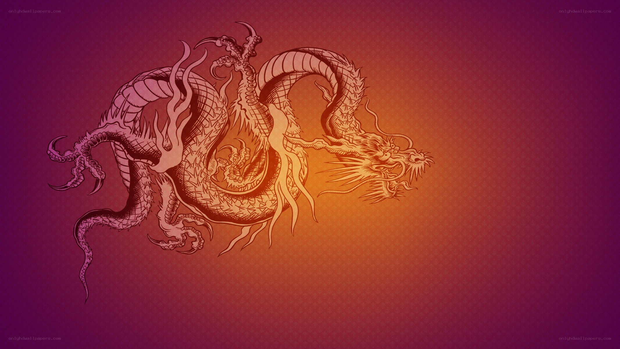 Chinese dragon illustration