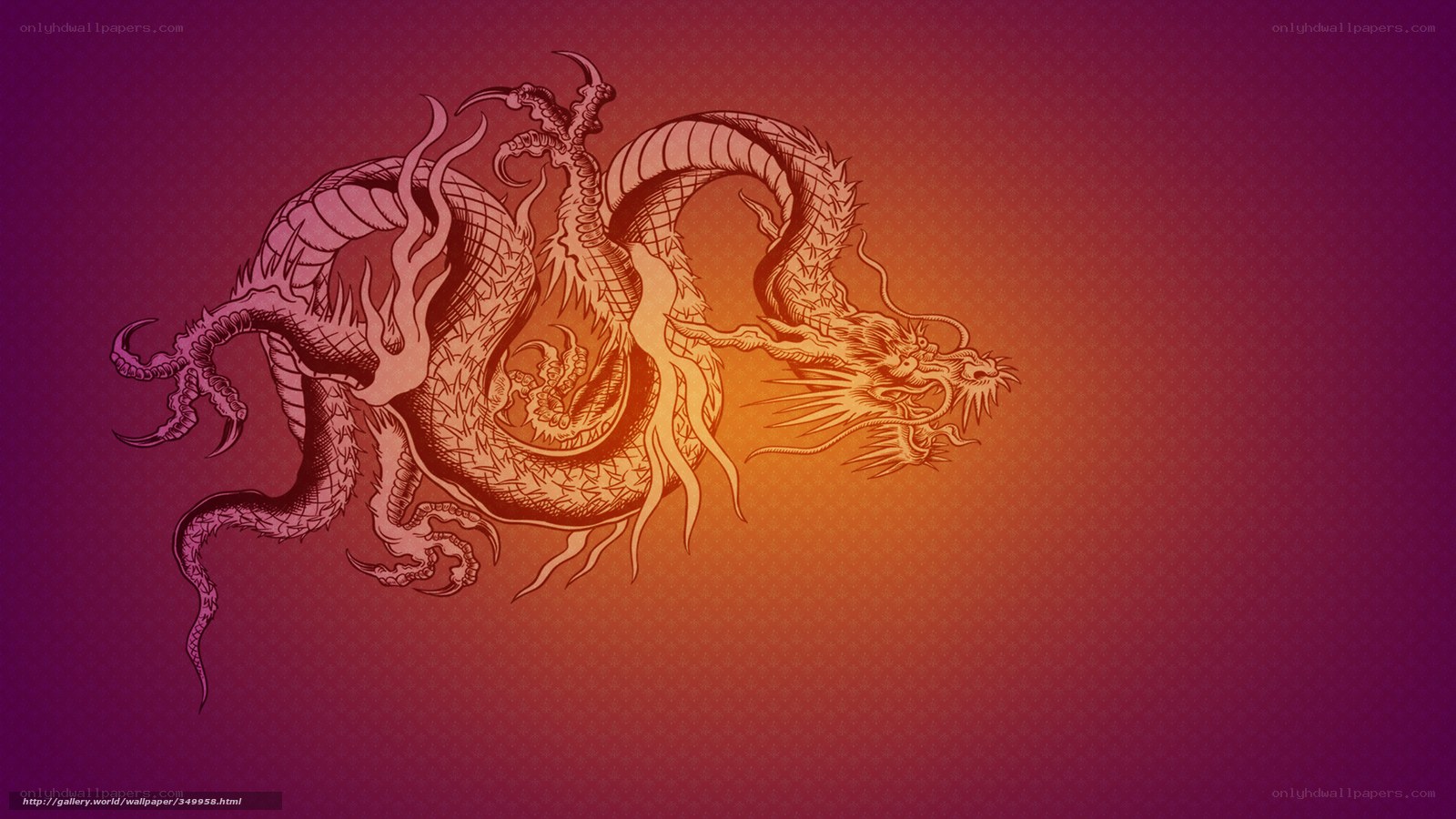 Chinese dragon illustration