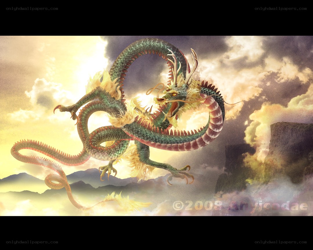 Chinese dragon in the sky