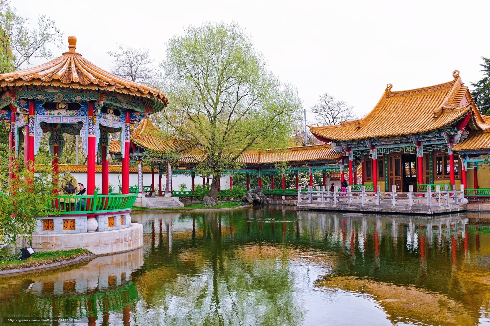 Chinese garden by the pond