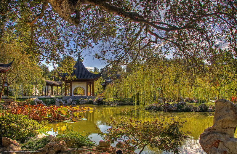 Chinese Garden Pavilion — Green, Serene, Afternoon