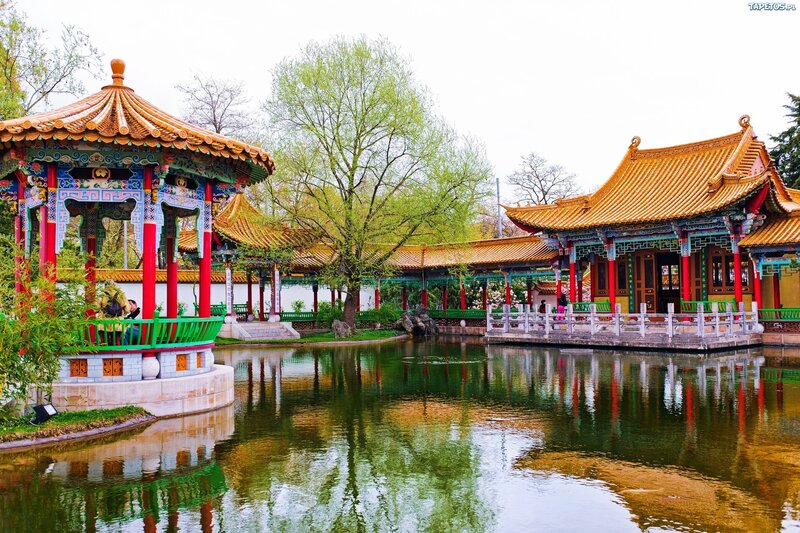 Chinese Garden Pavilion — Green, Serene