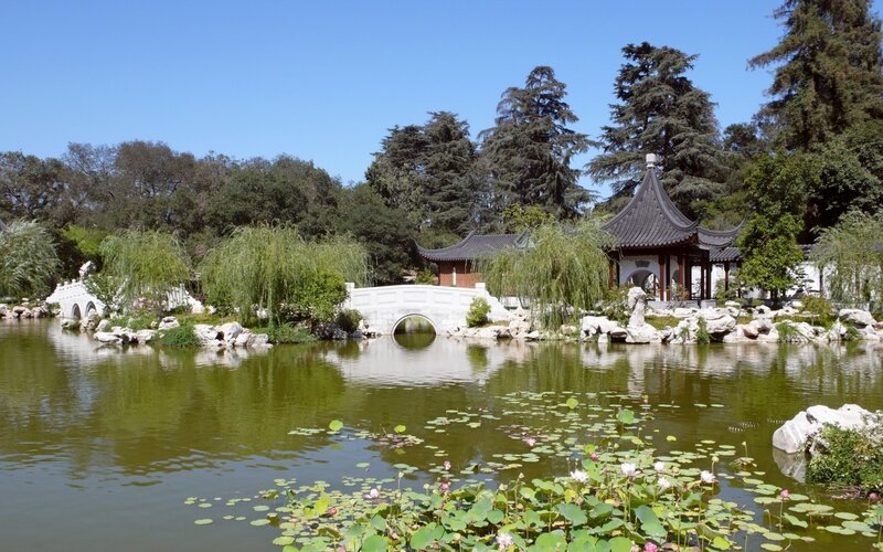 Chinese garden pond scene