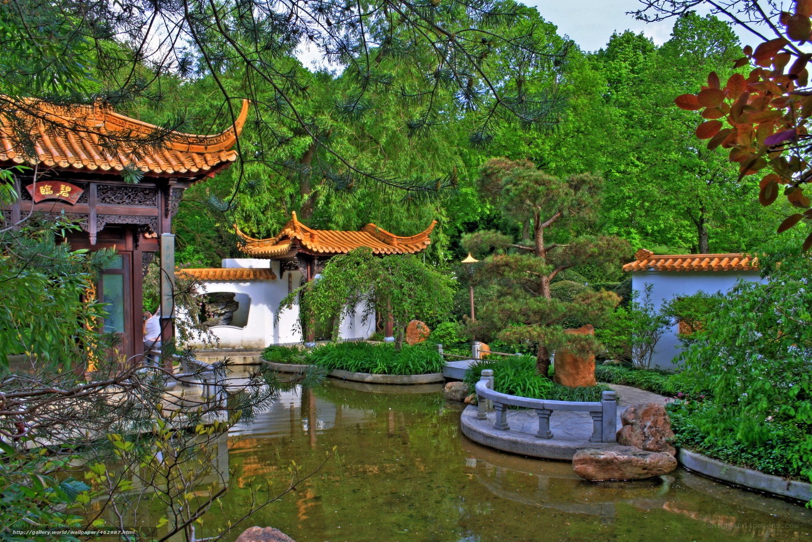 Chinese garden with pond and pavilion