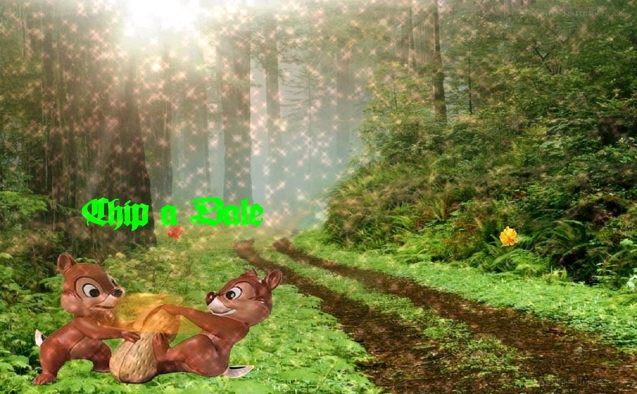 Chip and Dale in the forest
